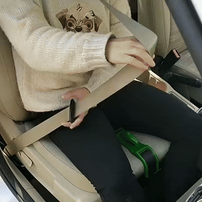 Guardian Bump Safety Belt